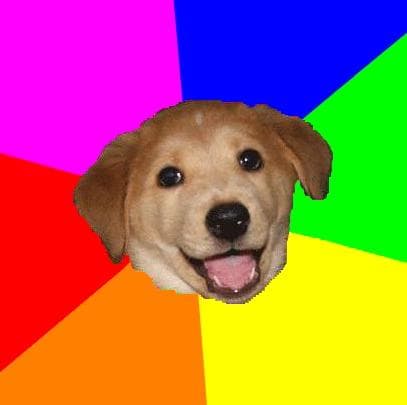 The smiling Advice Dog puppy on a rainbow background